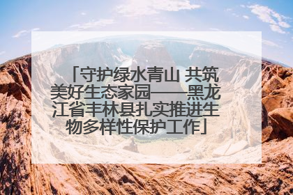 守护绿水青山 共筑美好生态家园——黑龙江省丰林县扎实推进生物多样性保护工作