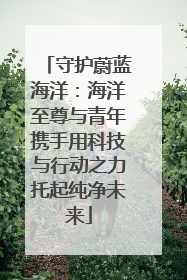 守护蔚蓝海洋：海洋至尊与青年携手用科技与行动之力托起纯净未来
