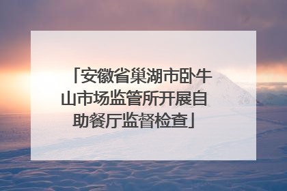 安徽省巢湖市卧牛山市场监管所开展自助餐厅监督检查