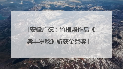 安徽广德：竹根雕作品《梁丰岁稔》斩获金鼎奖