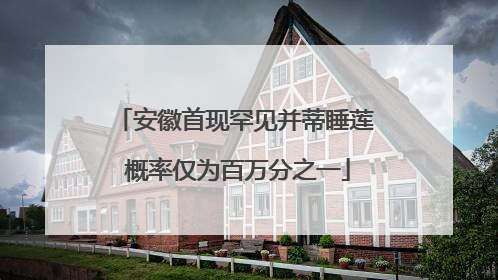 安徽首现罕见并蒂睡莲 概率仅为百万分之一