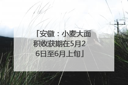 安徽：小麦大面积收获期在5月26日至6月上旬