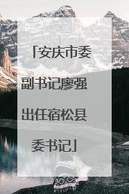 安庆市委副书记廖强出任宿松县委书记