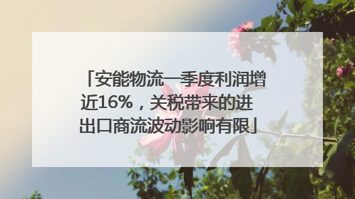 安能物流一季度利润增近16%，关税带来的进出口商流波动影响有限