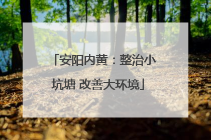 安阳内黄：整治小坑塘 改善大环境