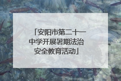 安阳市第二十一中学开展暑期法治安全教育活动