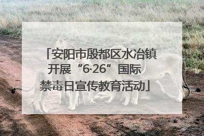 安阳市殷都区水冶镇开展“6·26”国际禁毒日宣传教育活动