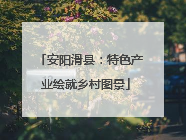 安阳滑县：特色产业绘就乡村图景