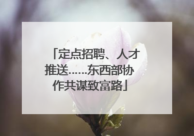 定点招聘、人才推送……东西部协作共谋致富路