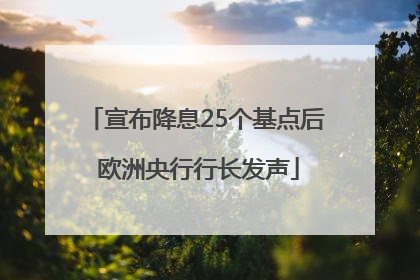 宣布降息25个基点后 欧洲央行行长发声