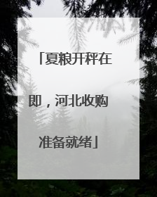 夏粮开秤在即，河北收购准备就绪