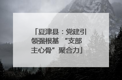 夏津县：党建引领强根基 “支部主心骨”聚合力