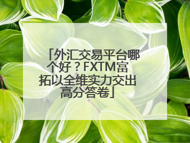 外汇交易平台哪个好？FXTM富拓以全维实力交出高分答卷