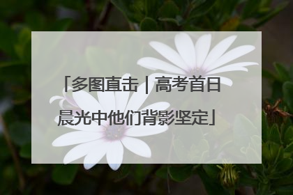 多图直击｜高考首日 晨光中他们背影坚定