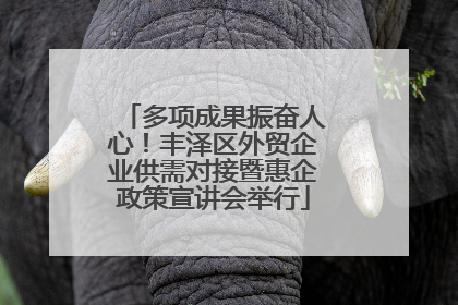 多项成果振奋人心！丰泽区外贸企业供需对接暨惠企政策宣讲会举行