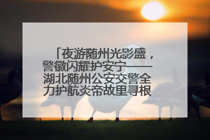 夜游随州光影盛，警徽闪耀护安宁——湖北随州公安交警全力护航炎帝故里寻根节夜游活动侧记