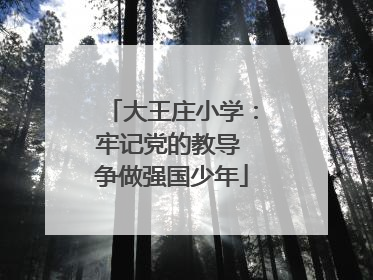 大王庄小学：牢记党的教导 争做强国少年