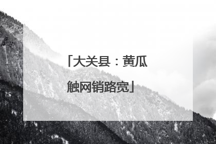 大关县：黄瓜触网销路宽