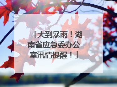大到暴雨！湖南省应急委办公室汛情提醒！