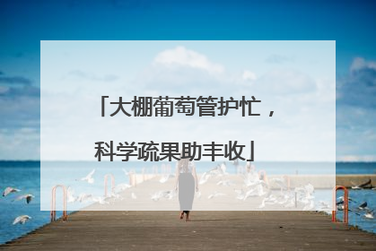 大棚葡萄管护忙，科学疏果助丰收