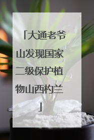 大通老爷山发现国家二级保护植物山西杓兰