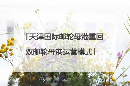 天津国际邮轮母港重回双邮轮母港运营模式