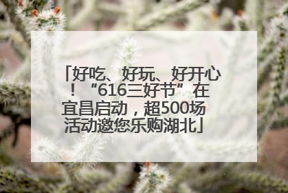 好吃、好玩、好开心！“616三好节”在宜昌启动，超500场活动邀您乐购湖北