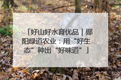 好山好水育优品｜郧阳绿道农业：用“好生态”种出“好味道”