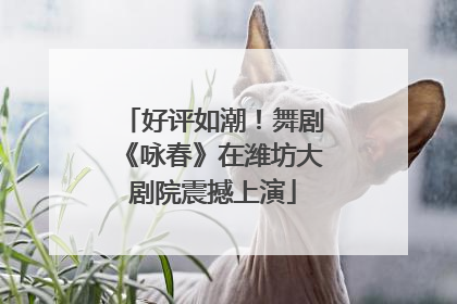 好评如潮！舞剧《咏春》在潍坊大剧院震撼上演