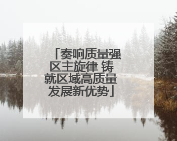 奏响质量强区主旋律 铸就区域高质量发展新优势