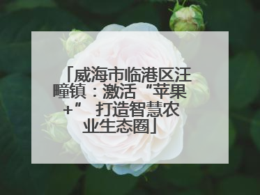 威海市临港区汪疃镇：激活“苹果+” 打造智慧农业生态圈