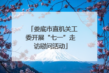 娄底市直机关工委开展“七一”走访慰问活动
