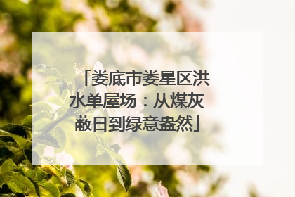 娄底市娄星区洪水单屋场：从煤灰蔽日到绿意盎然