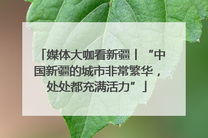 媒体大咖看新疆丨“中国新疆的城市非常繁华，处处都充满活力”
