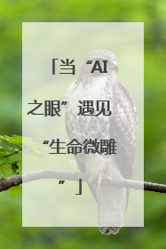 当“AI之眼”遇见“生命微雕”