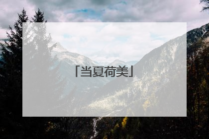 当夏荷美