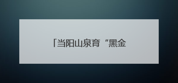 当阳山泉育“黑金” 一条鲟鱼“游”出10亿元大产业