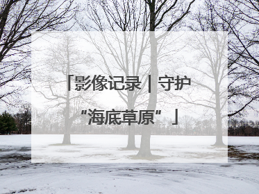 影像记录｜守护“海底草原”
