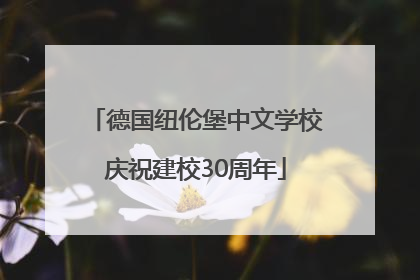 德国纽伦堡中文学校庆祝建校30周年