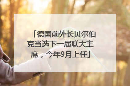 德国前外长贝尔伯克当选下一届联大主席，今年9月上任