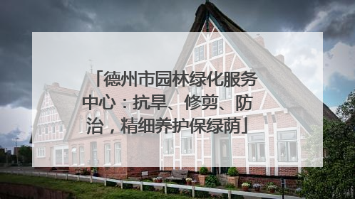 德州市园林绿化服务中心：抗旱、修剪、防治，精细养护保绿荫