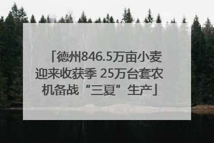 德州846.5万亩小麦迎来收获季 25万台套农机备战“三夏”生产