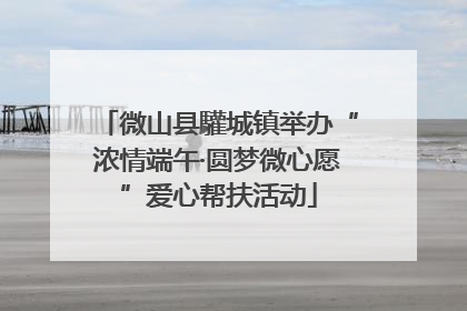 微山县驩城镇举办“浓情端午·圆梦微心愿”爱心帮扶活动