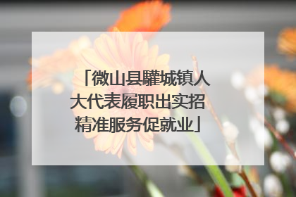 微山县驩城镇人大代表履职出实招精准服务促就业