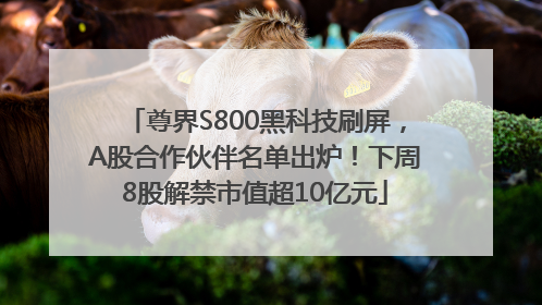 尊界S800黑科技刷屏，A股合作伙伴名单出炉！下周8股解禁市值超10亿元