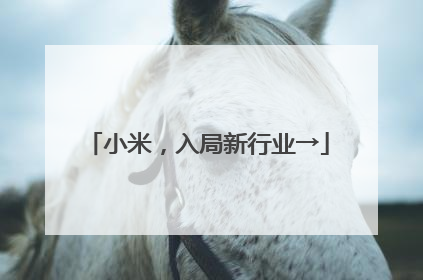 小米，入局新行业→