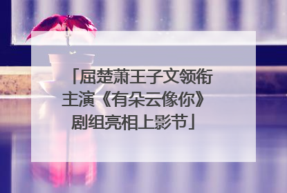 屈楚萧王子文领衔主演《有朵云像你》剧组亮相上影节