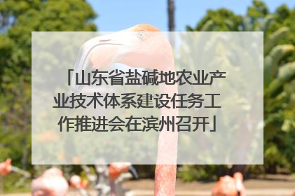 山东省盐碱地农业产业技术体系建设任务工作推进会在滨州召开