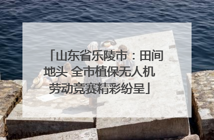山东省乐陵市：田间地头 全市植保无人机劳动竞赛精彩纷呈