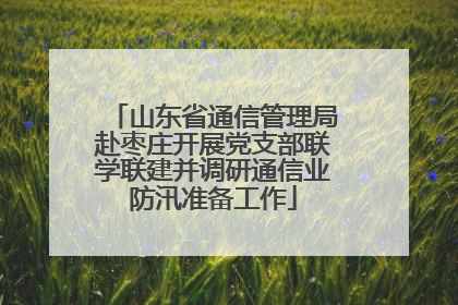 山东省通信管理局赴枣庄开展党支部联学联建并调研通信业防汛准备工作